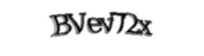Security check image, please type the characters shown